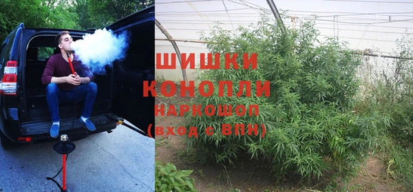 PSILOCYBIN Новозыбков