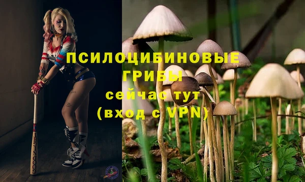наркотики Новодвинск