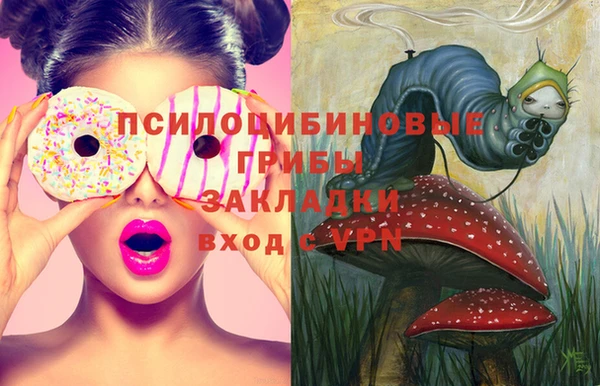 PSILOCYBIN Новозыбков