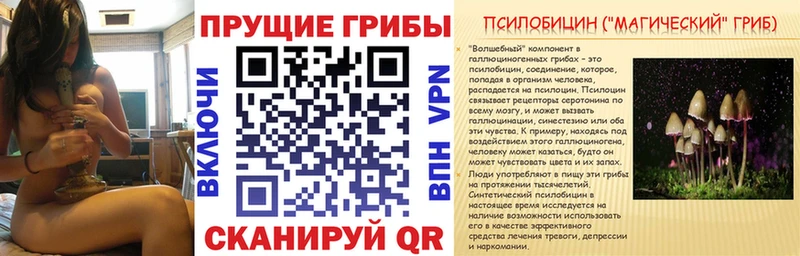 Купить где  Электросталь  Галлюциногенные грибы мицелий 